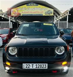 جيب رينيجيد